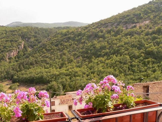 Regio Tratturo Villa Caporciano Luaran gambar